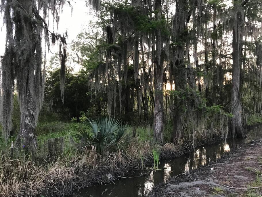 La Maison Du Bayou Petite Anse Near Avery Island New Iberia Zewnętrze zdjęcie