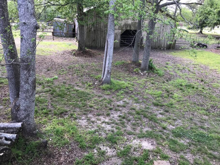 La Maison Du Bayou Petite Anse Near Avery Island New Iberia Zewnętrze zdjęcie